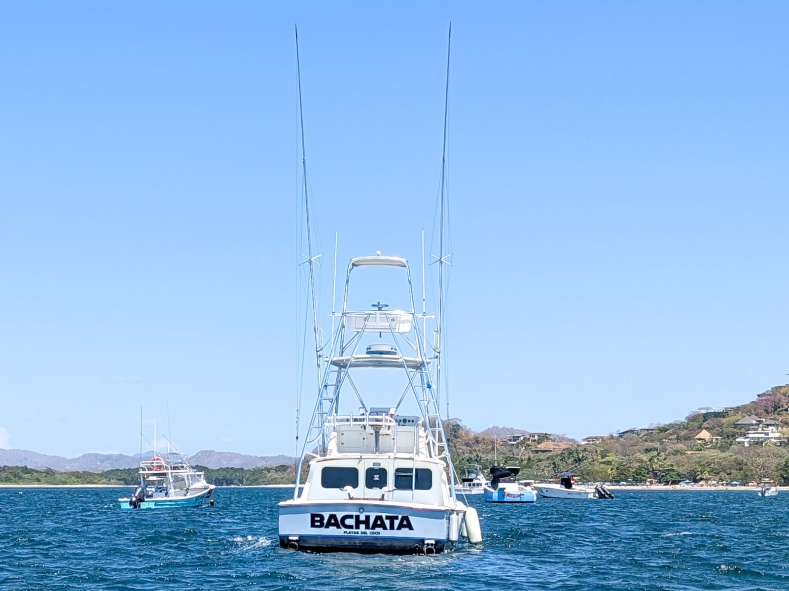 31' 1973 Bertram Sportfisher