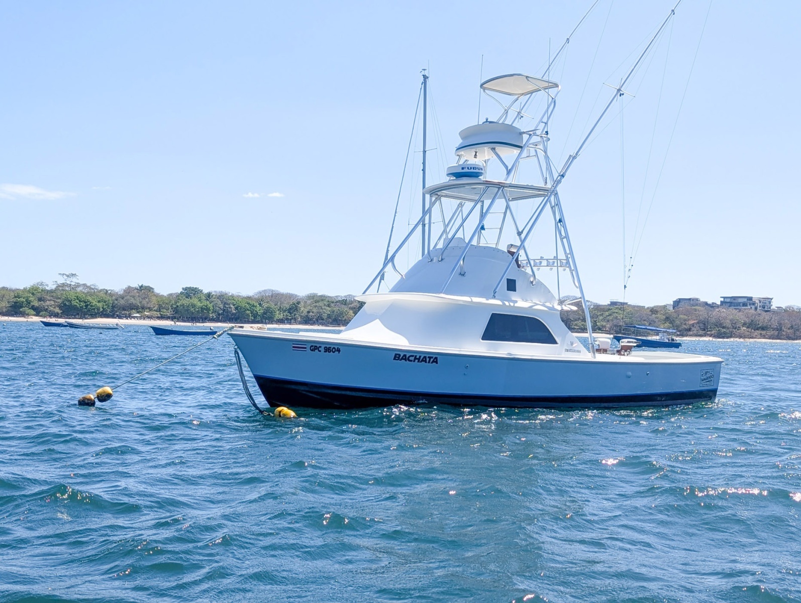 Bachata 31ft Bertram Yacht For Sale