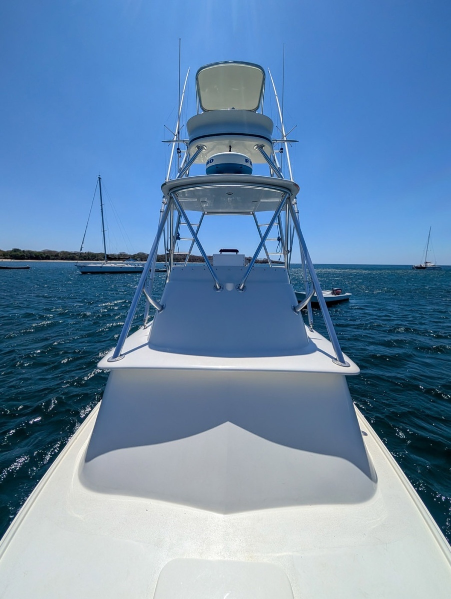 Bachata 31ft Bertram Yacht For Sale