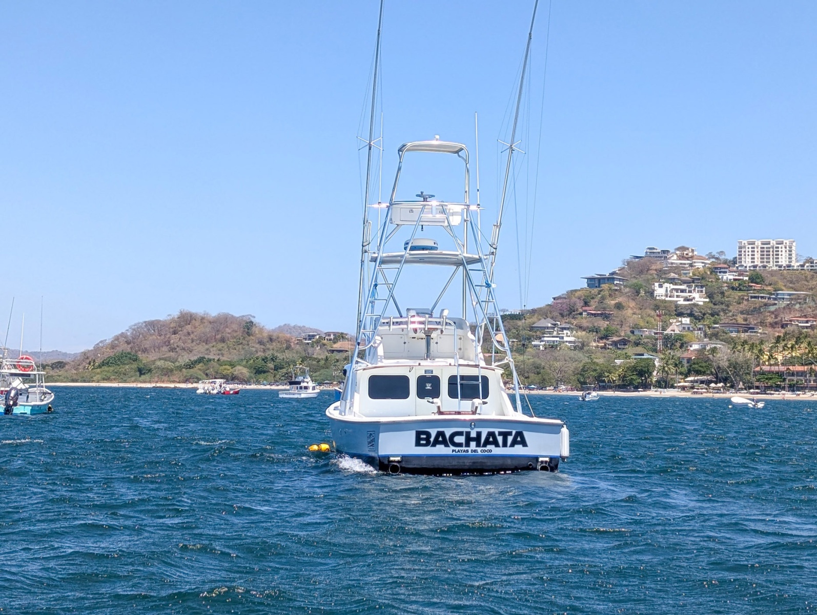 31' 1973 Bertram Sportfisher