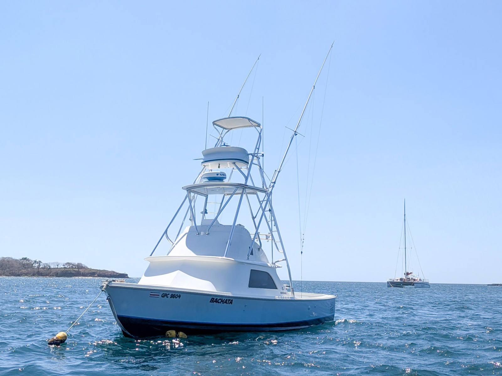 31' 1973 Bertram Sportfisher