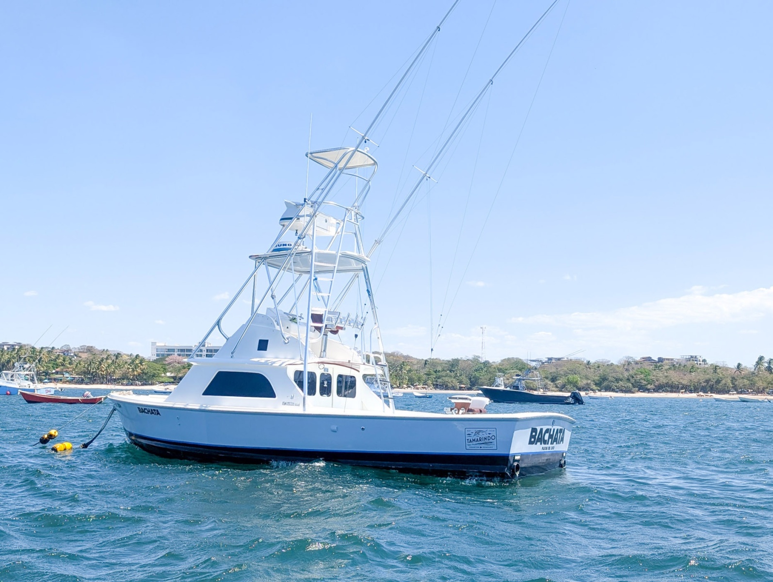 31' 1973 Bertram Sportfisher