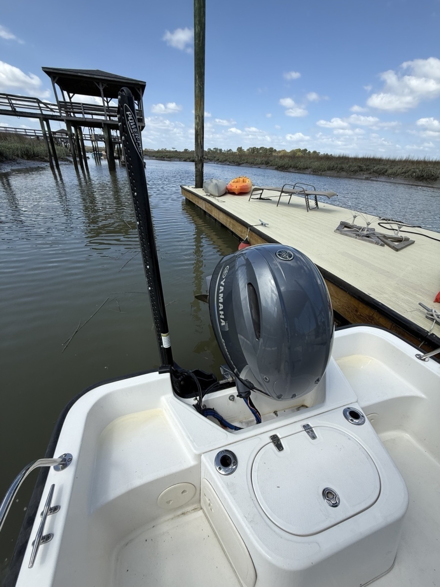 17' 2016 Boston Whaler Montauk 170