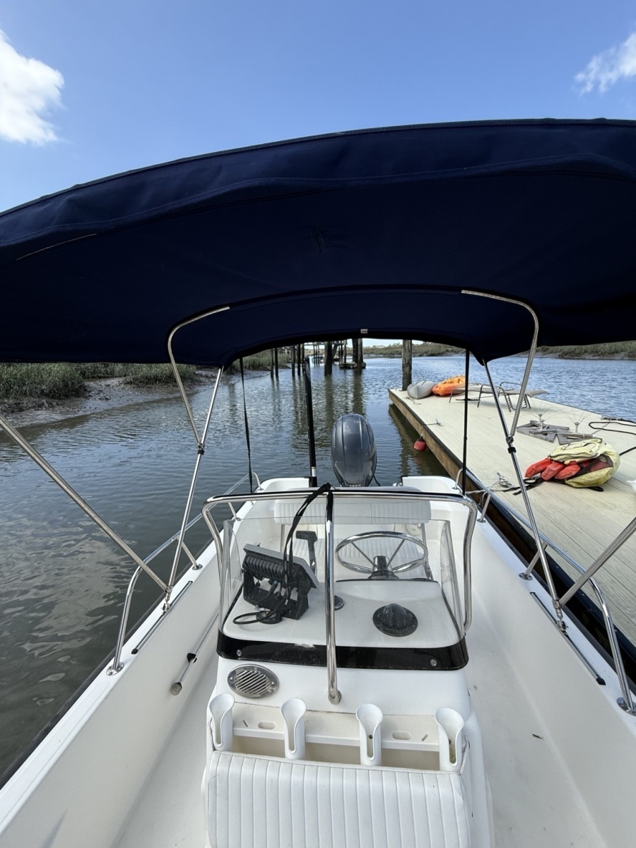 17' 2016 Boston Whaler Montauk 170