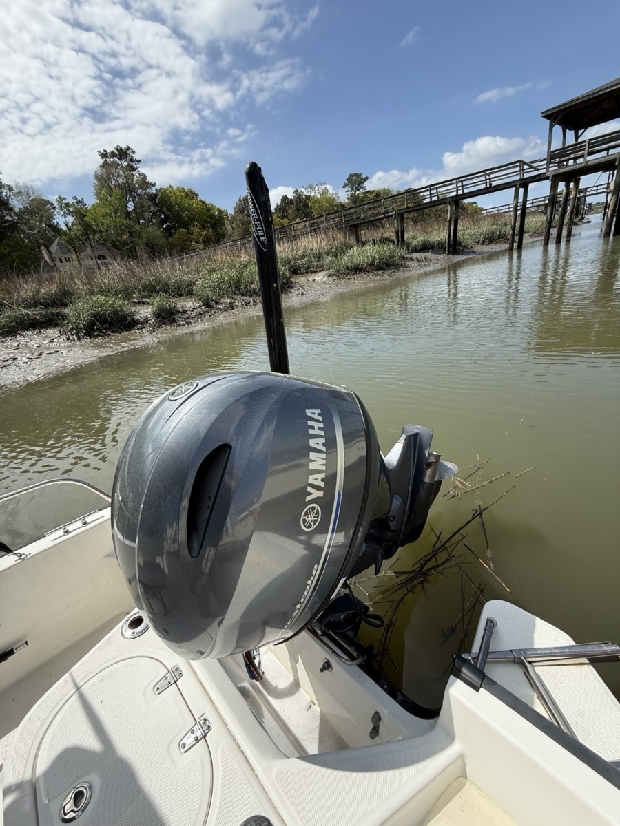 17' 2016 Boston Whaler Montauk 170