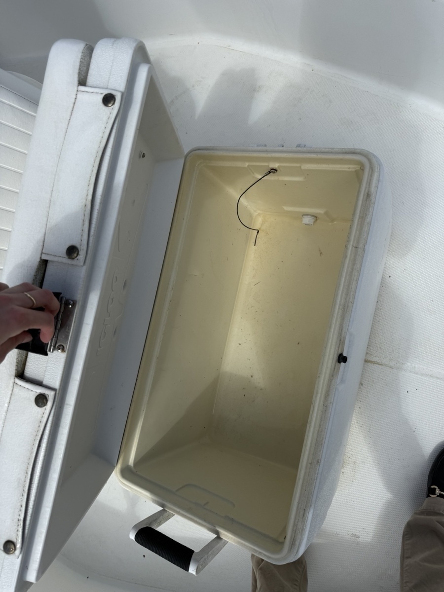 17ft Boston Whaler Yacht For Sale