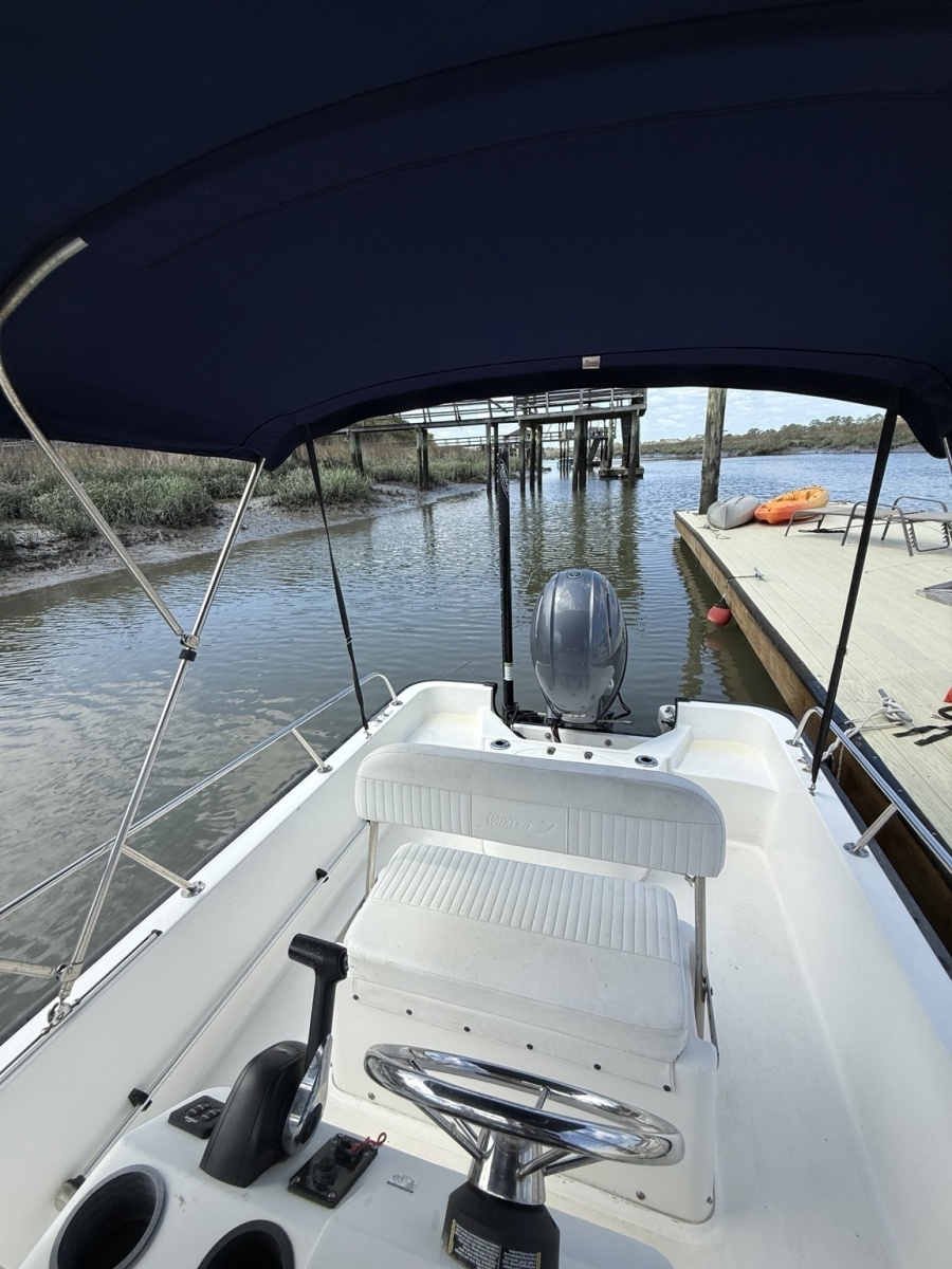 17' 2016 Boston Whaler Montauk 170