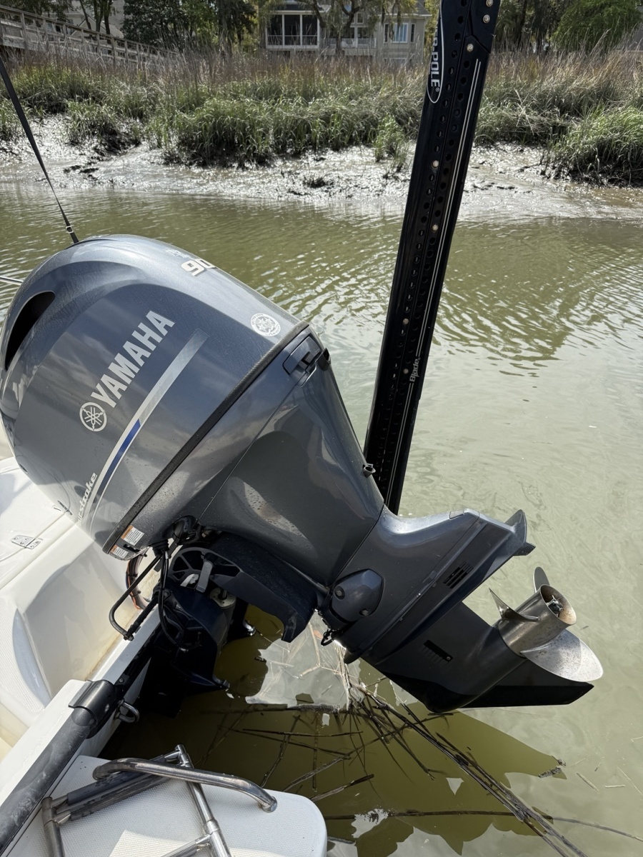 17' 2016 Boston Whaler Montauk 170