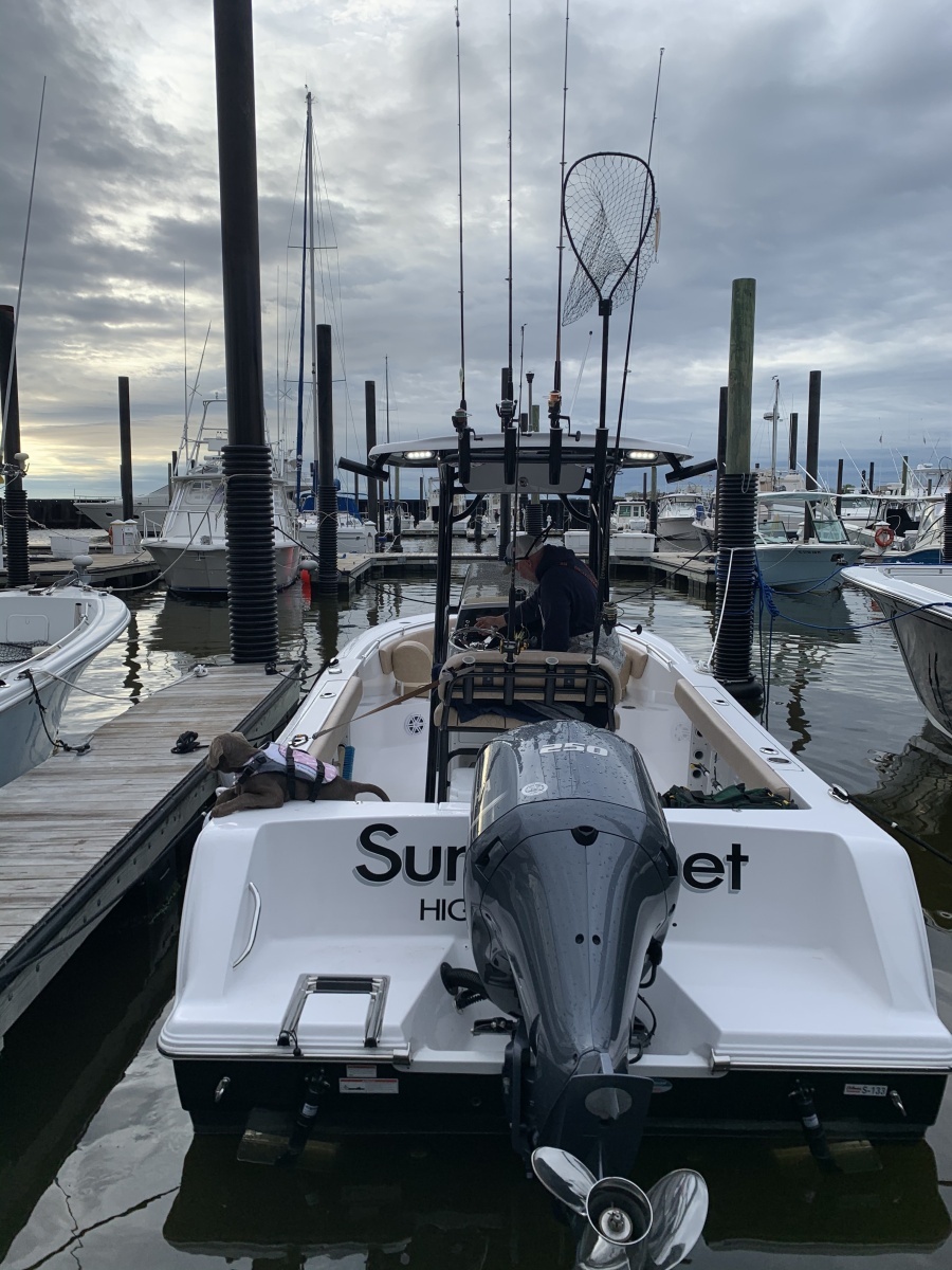 23ft Sportsman Yacht For Sale