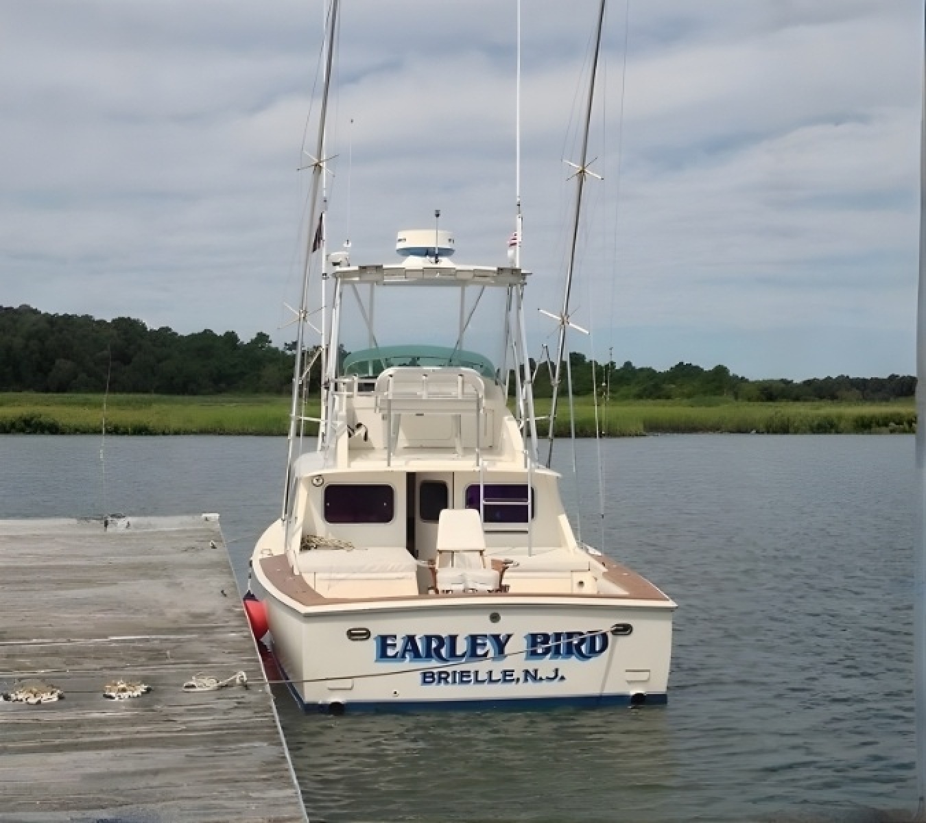 Earley Bird 31ft Bertram Yacht For Sale