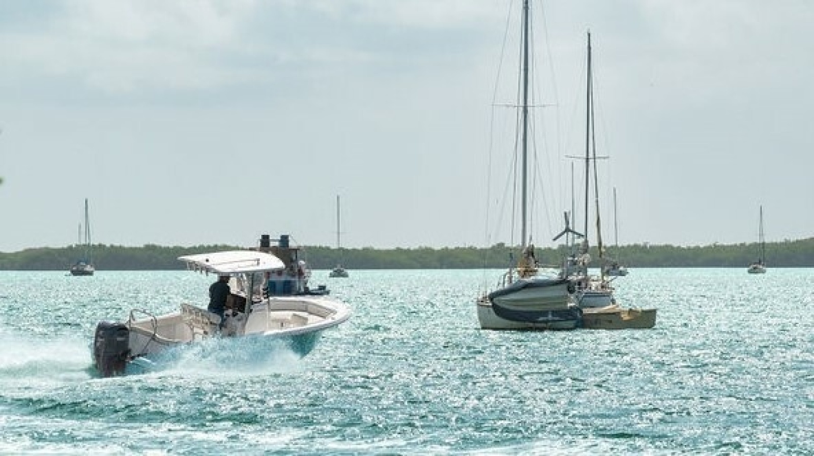 23ft Sea Hunt Yacht For Sale