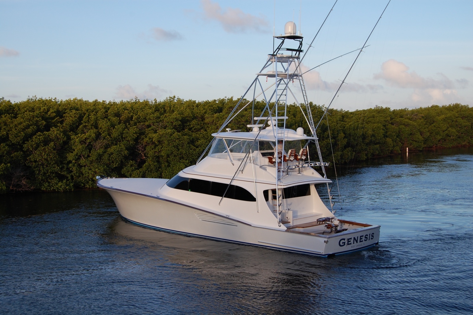 Weaver 75 - Genesis - Exterior Profile