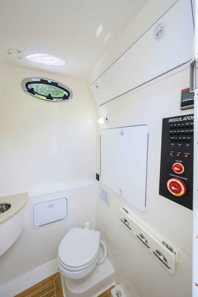 Regulator 31   Sweet Melissa - Day Head