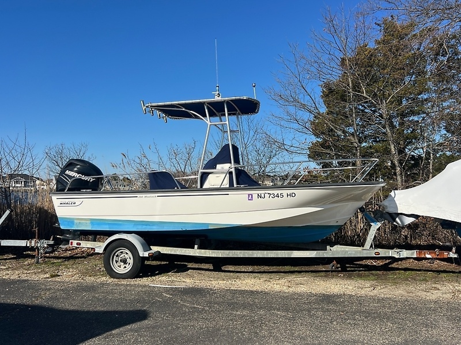 19ft Boston Whaler Yacht For Sale