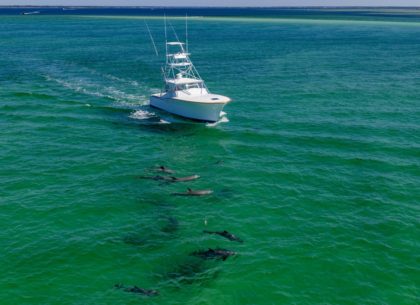 PART OF IT 39ft Daytona Yacht For Sale