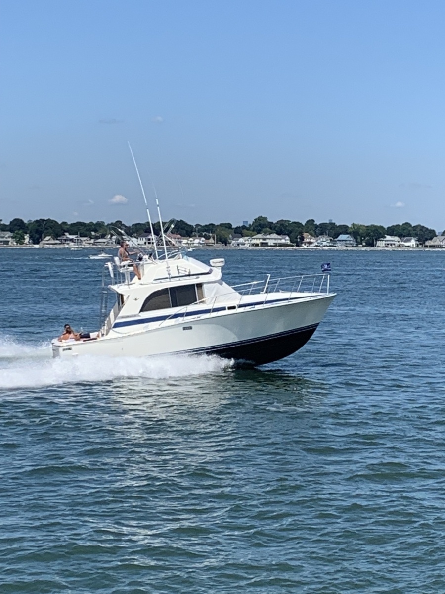 33' 1985 Bertram Flybridge Cruiser