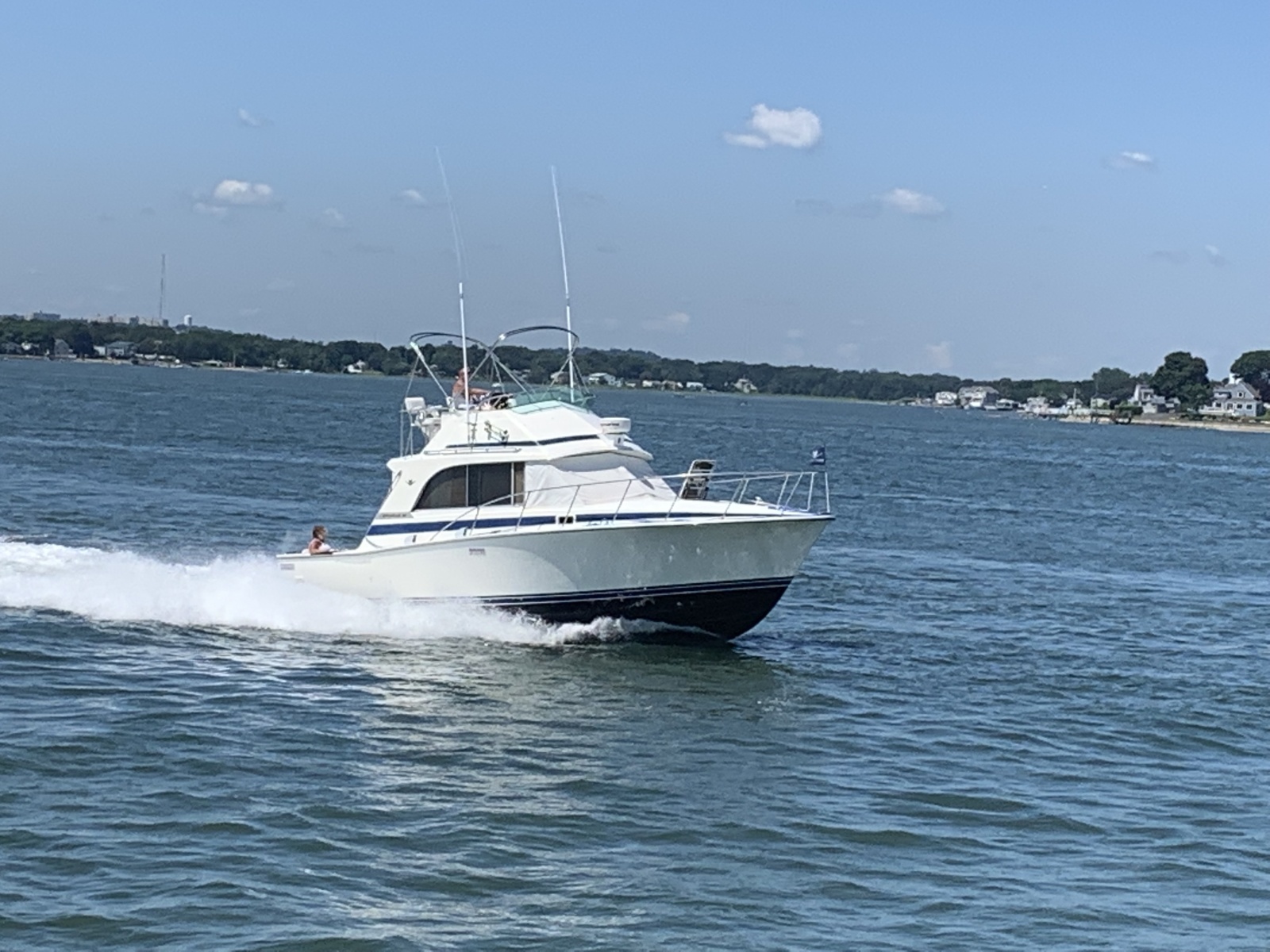 33' 1985 Bertram Flybridge Cruiser