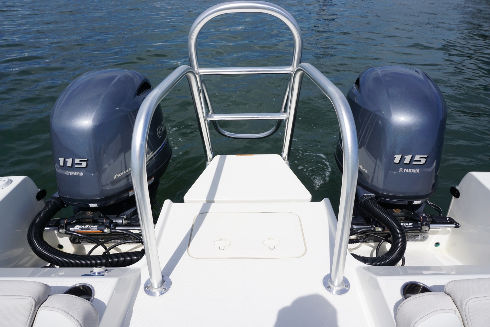 2024 23 World Cat 230 DC Engine Well