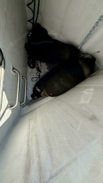 Best Day Ever 58ft Sirena Yacht For Sale