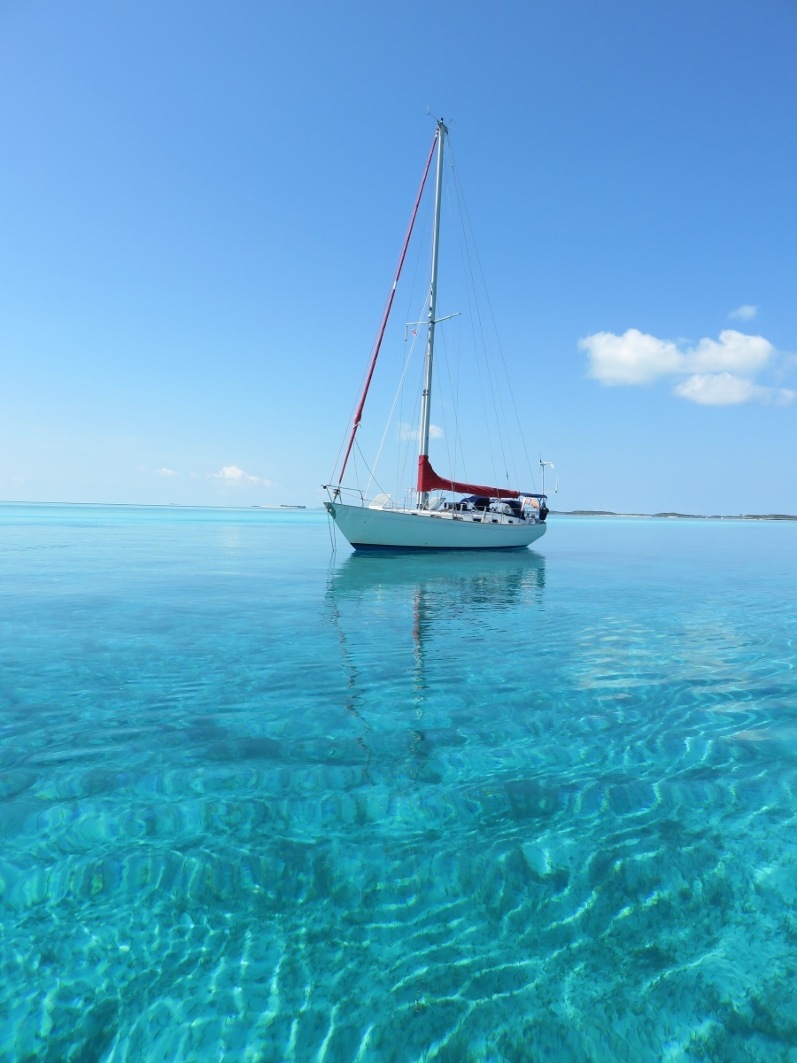 41' Rival port forward profile1