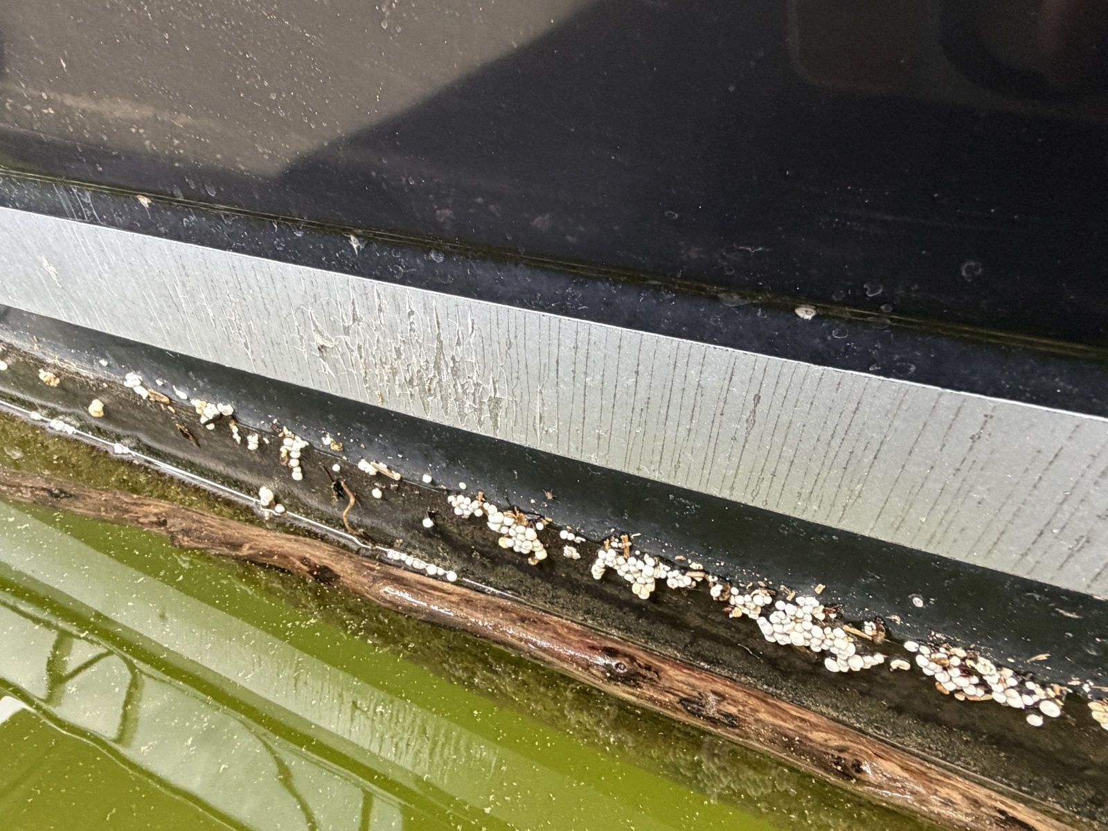 28ft Sea Ray Yacht For Sale