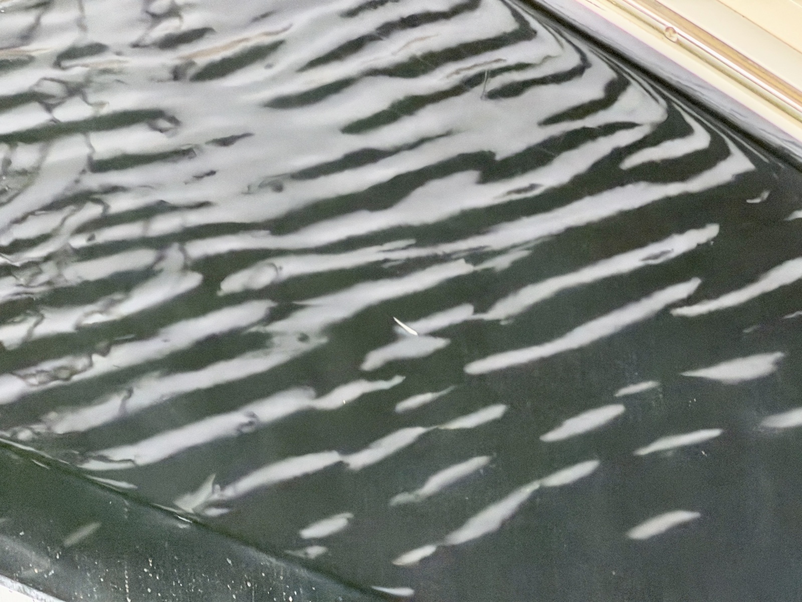 28ft Sea Ray Yacht For Sale