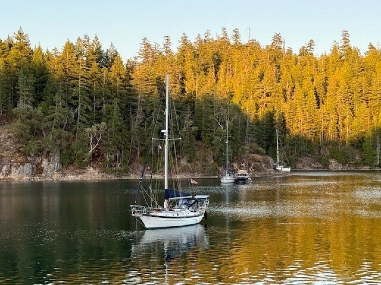 AVALON 38ft Cabo Rico Yacht For Sale