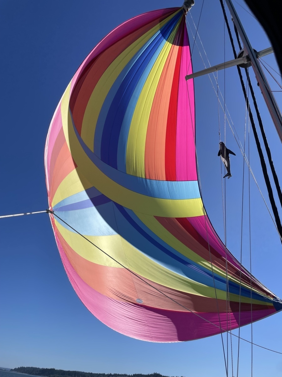 AVALON 38ft Cabo Rico Yacht For Sale