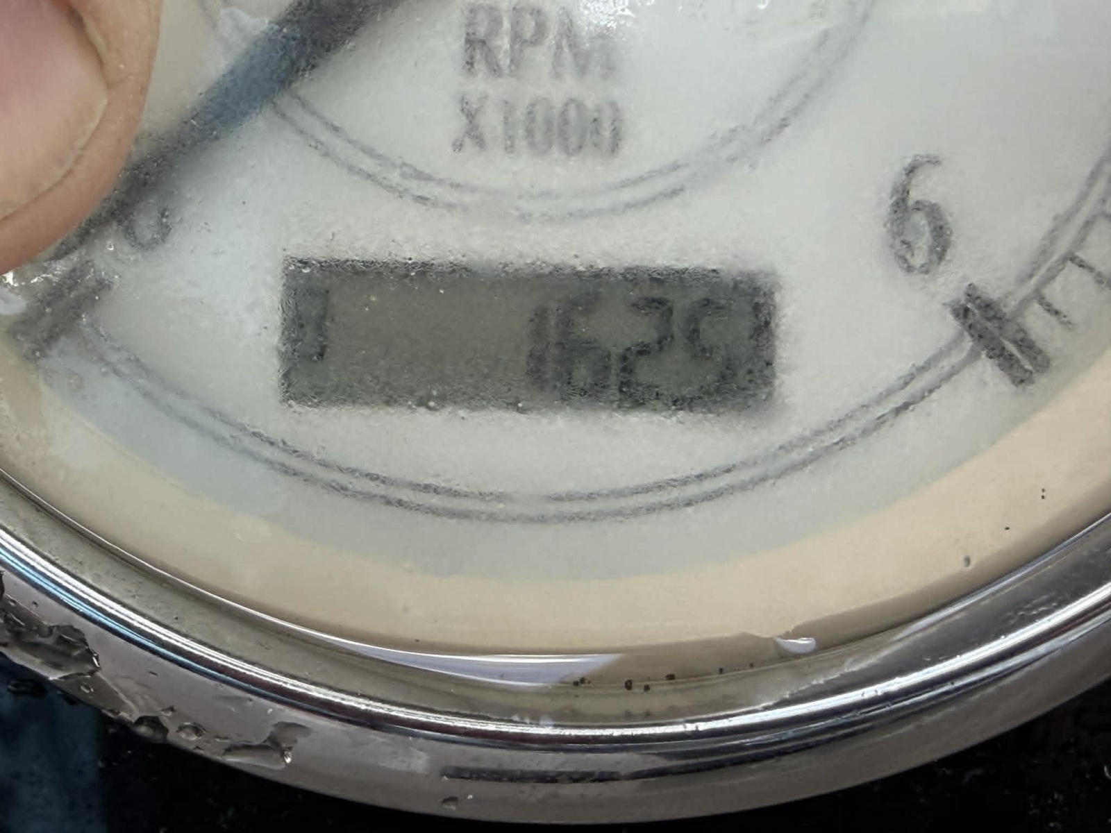 28ft Regal Yacht For Sale