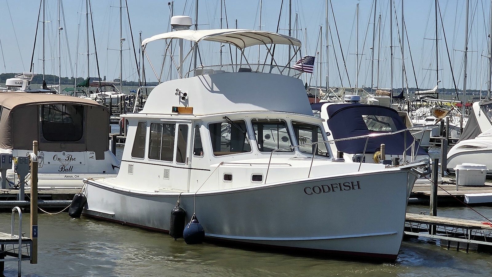 Starboard Bow Profile