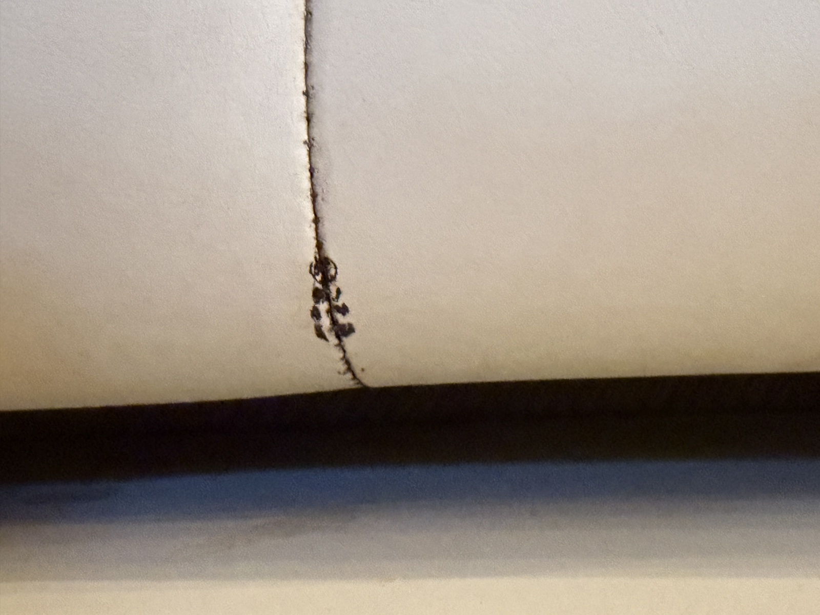 2008 Rinker 280 Express Cruiser