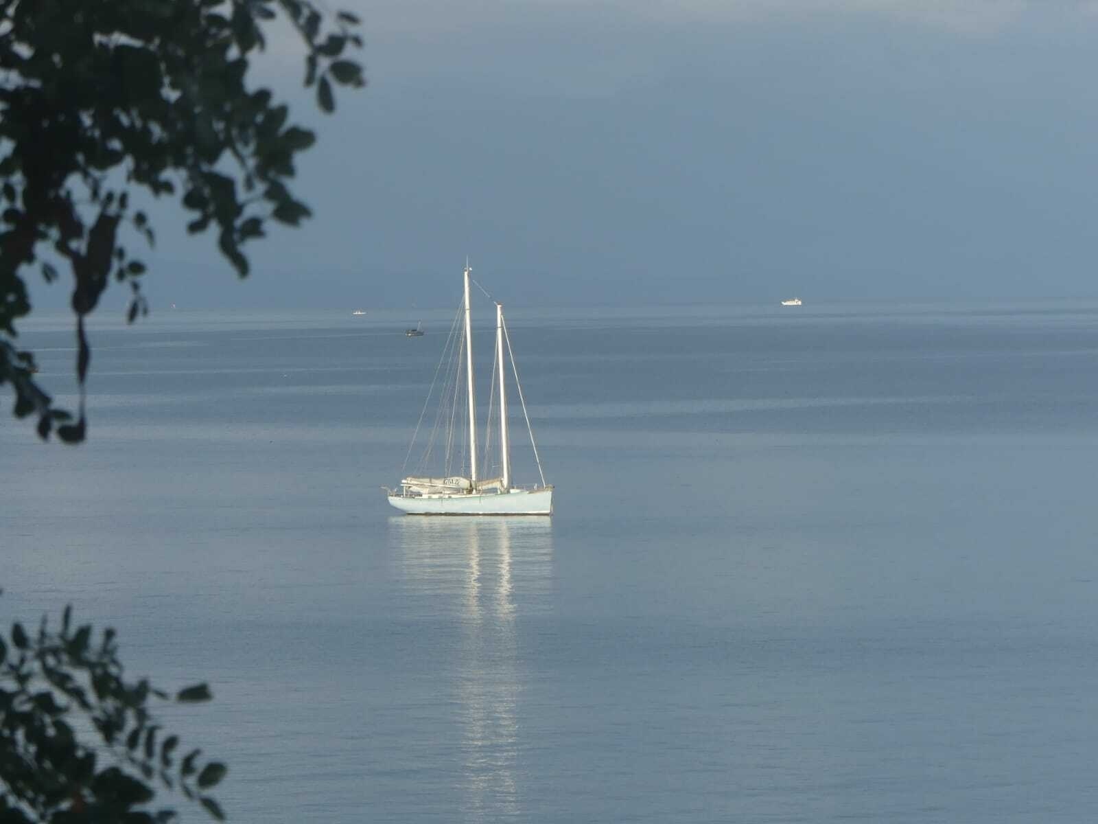 50ft Custom Yacht For Sale