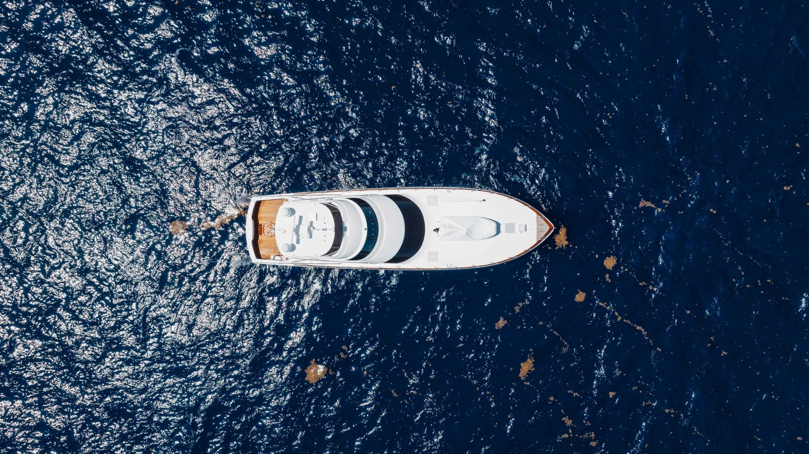 2016 Viking Skybridge