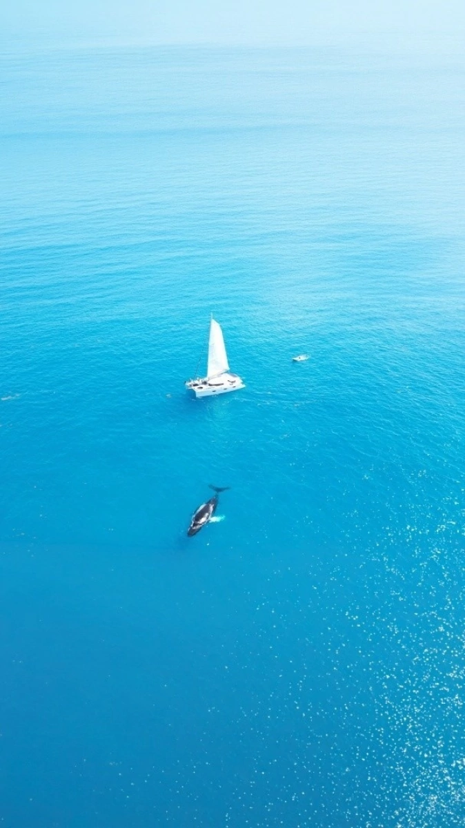 2013 Fountaine Pajot Sanya 57