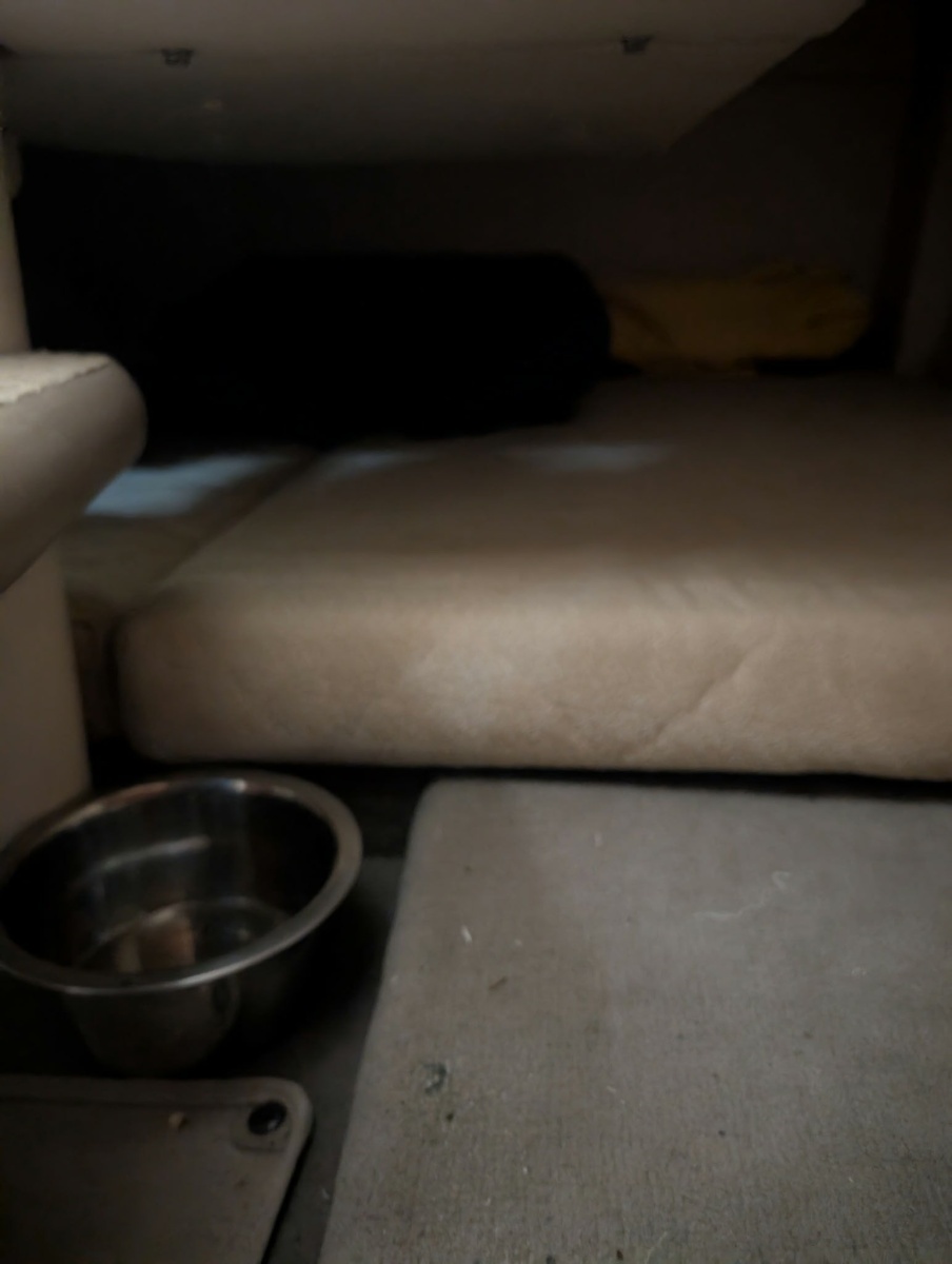 24ft Sea Ray Yacht For Sale