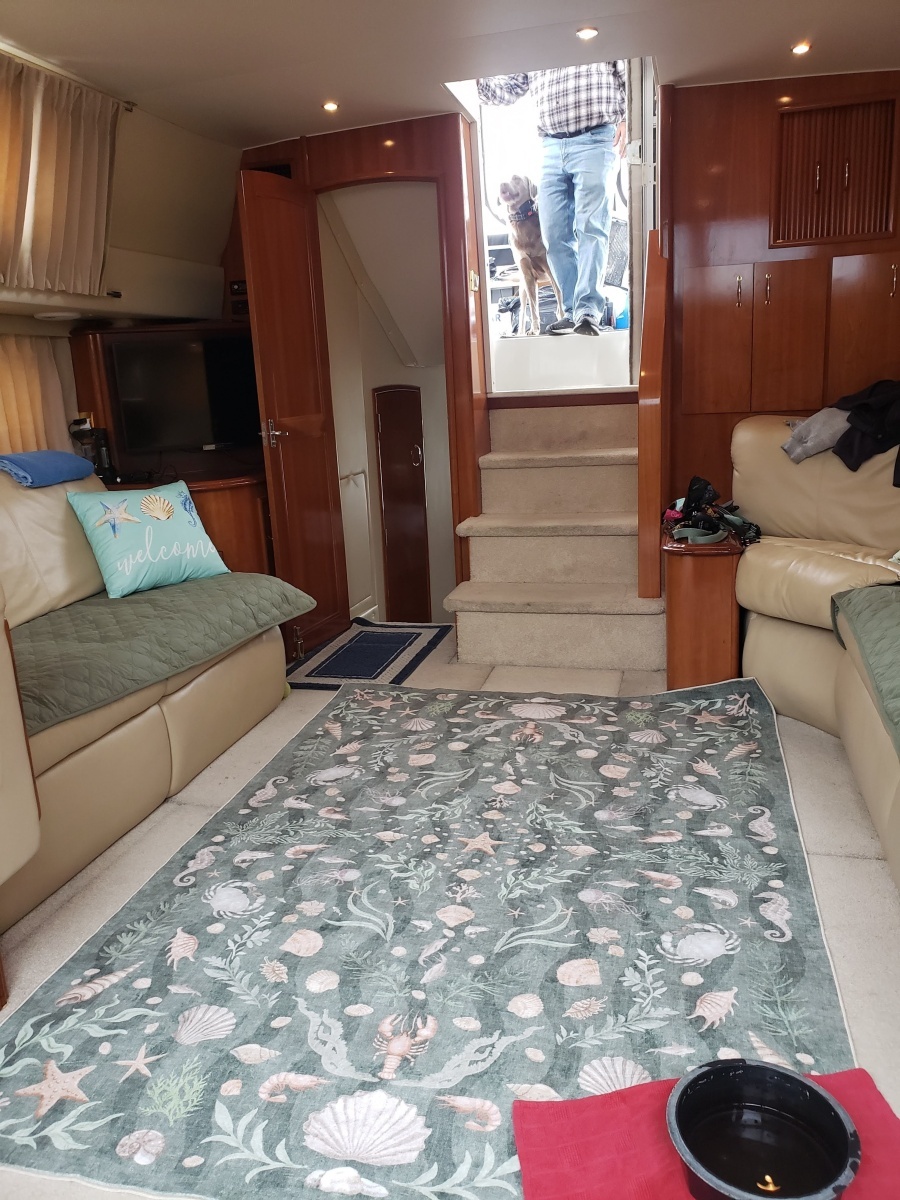 2005 Carver 444 Motor Yacht