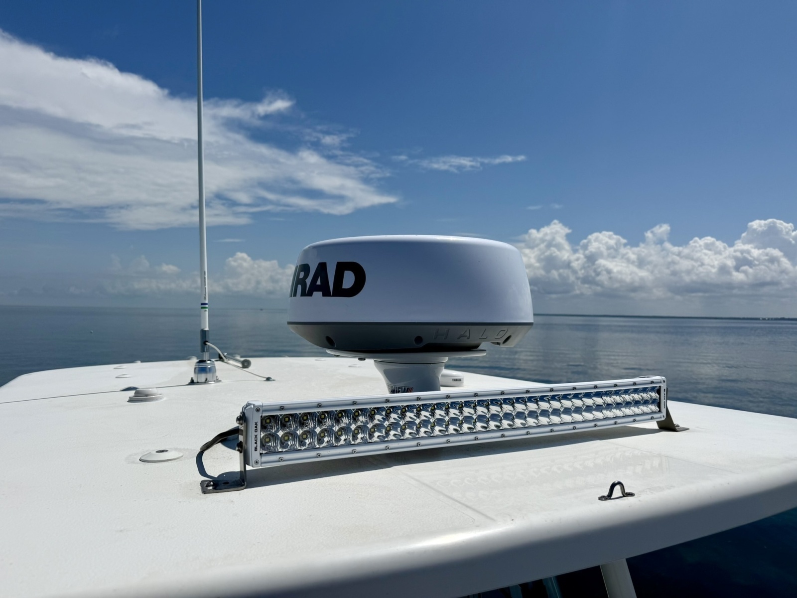 2021 World Cat 295 CC