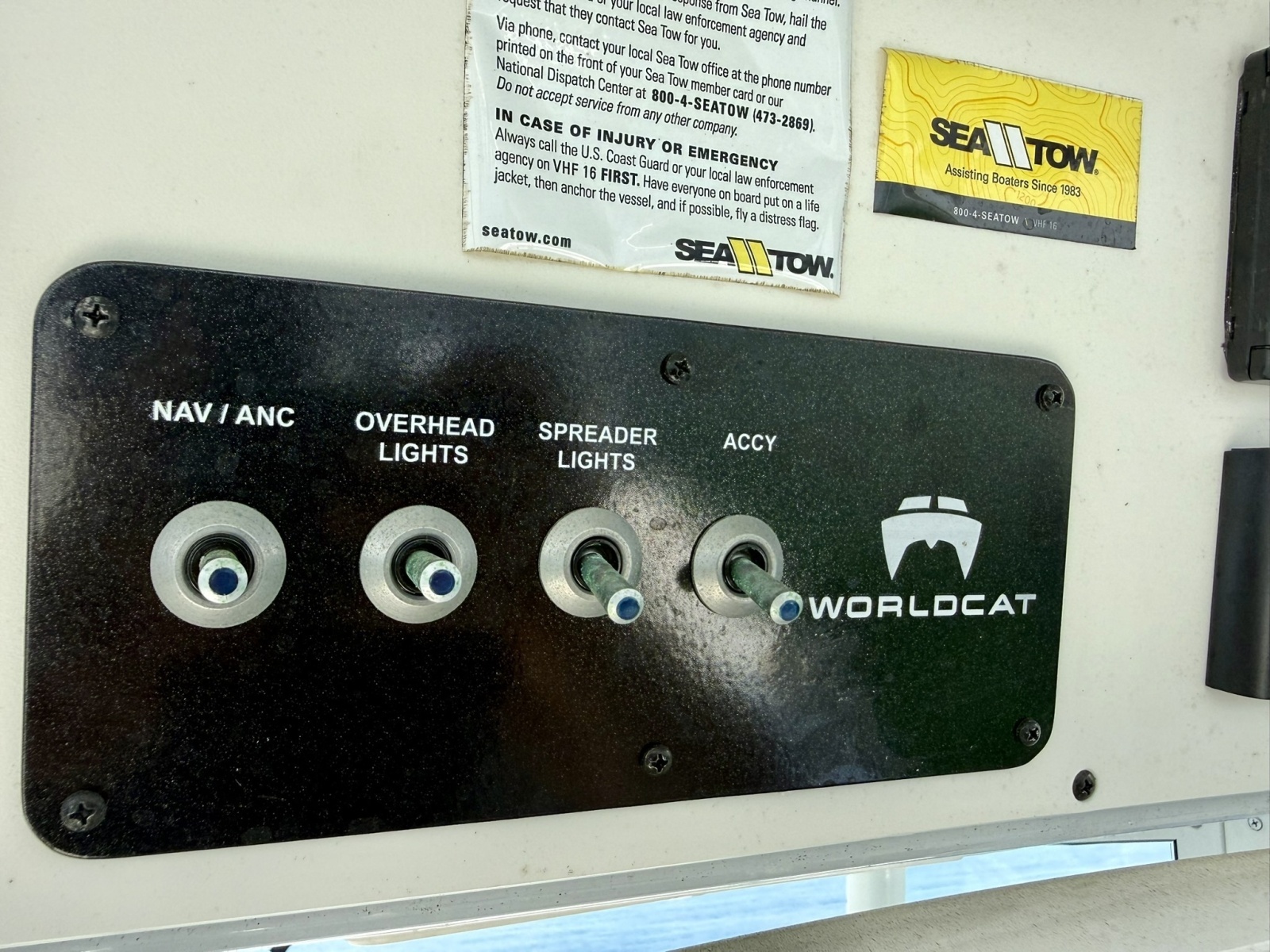 2021 World Cat 295 CC
