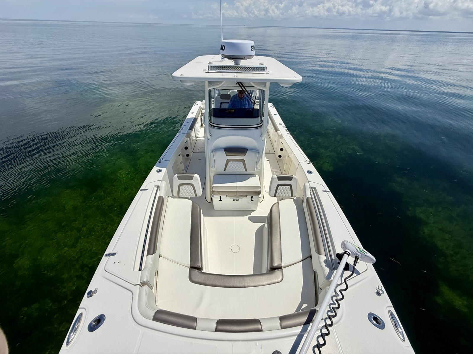 2021 World Cat 295 CC