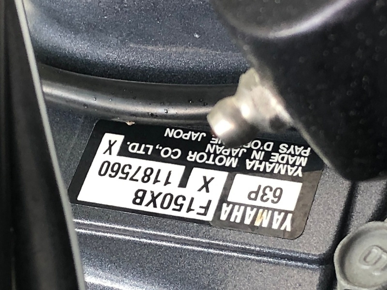 0005698611
