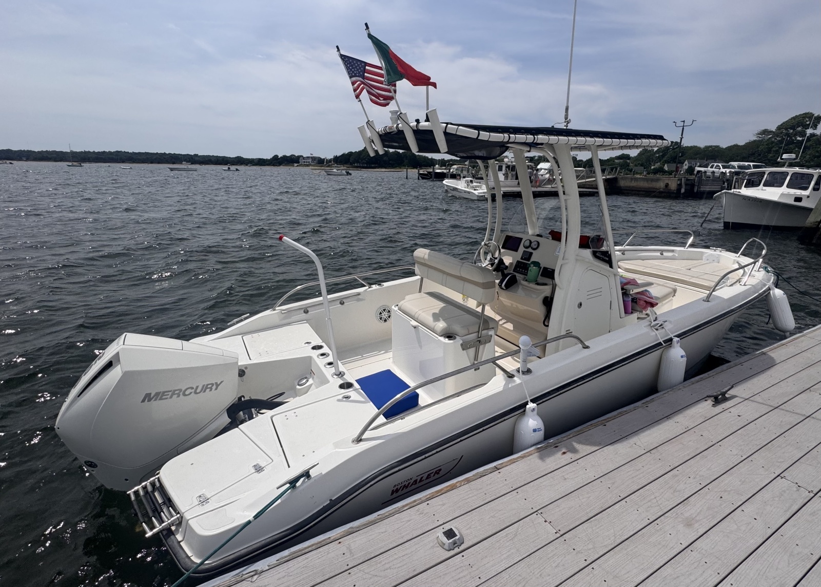 2023 Boston Whaler 220 Dauntless