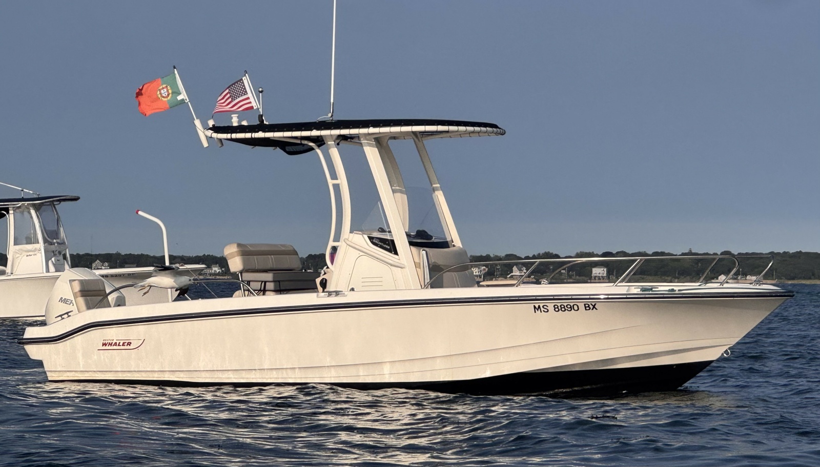 2023 Boston Whaler 220 Dauntless
