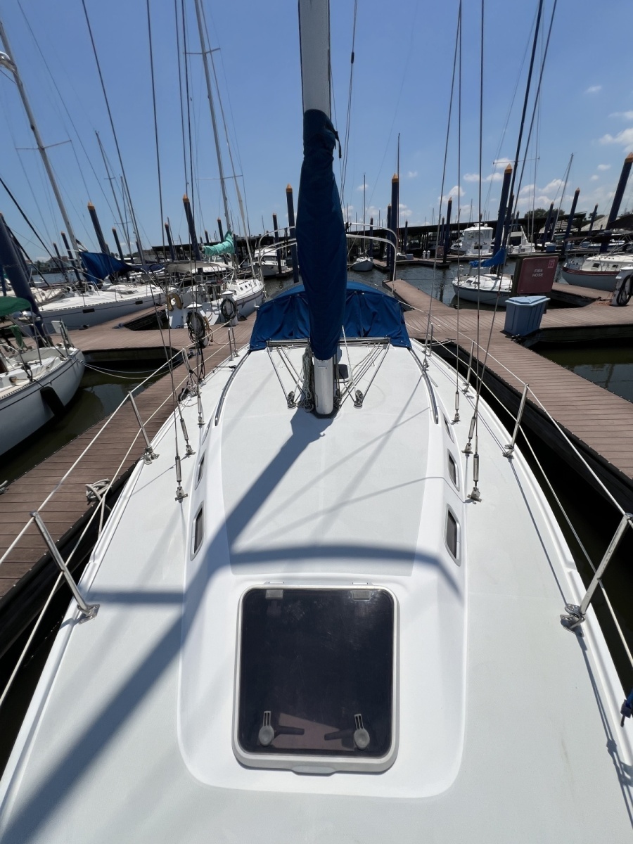Ibis 34ft Catalina Yacht For Sale