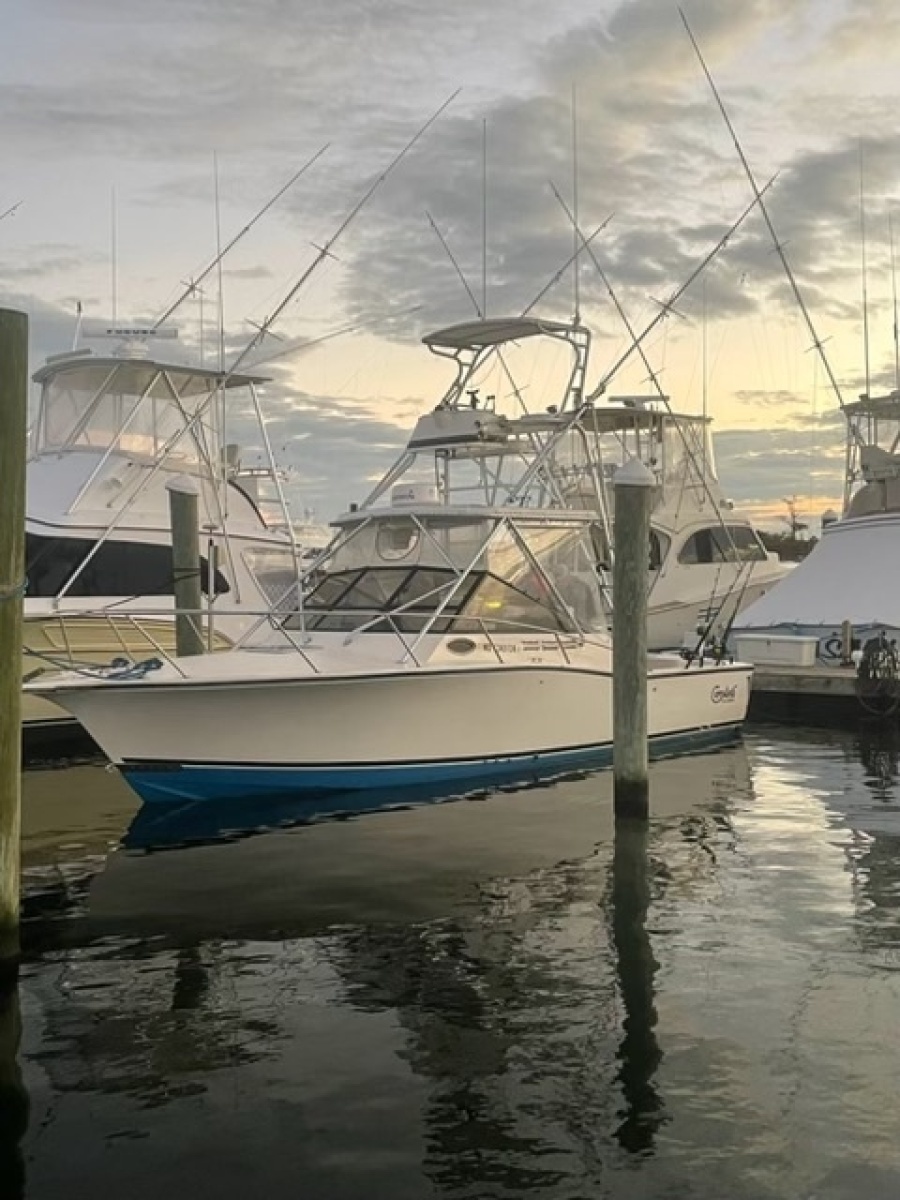 1999 Carolina Classic Express SF