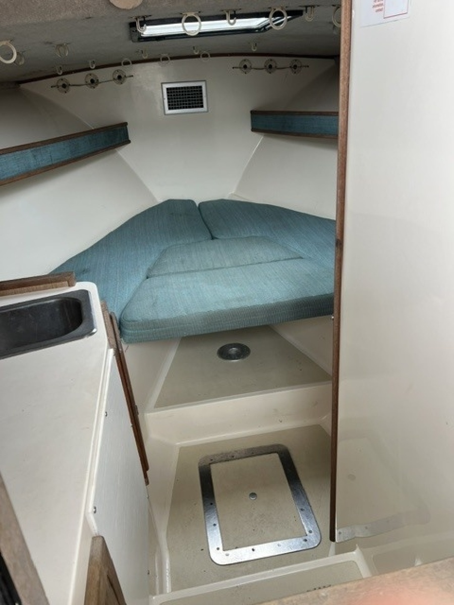 1999 Carolina Classic Express SF