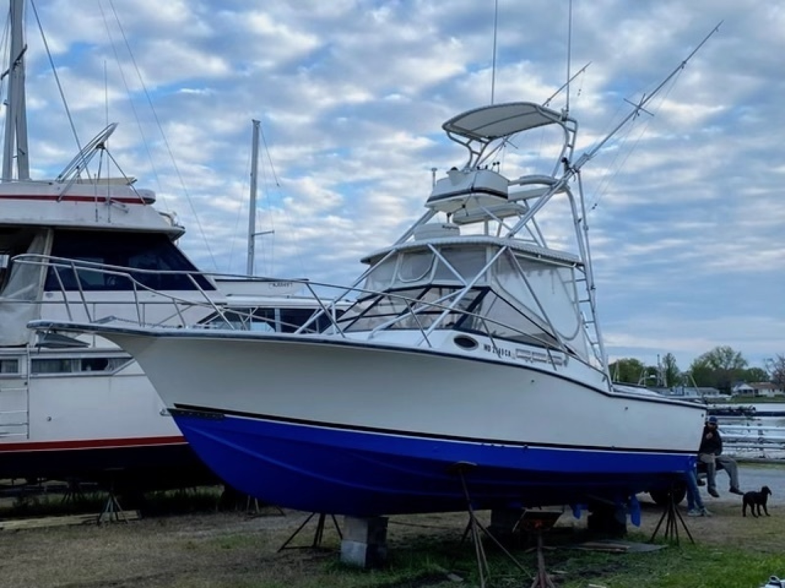 1999 Carolina Classic Express SF