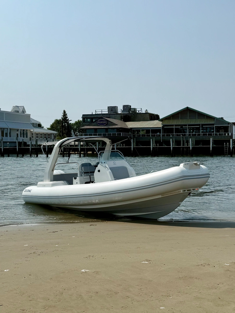 2026 Zodiac 