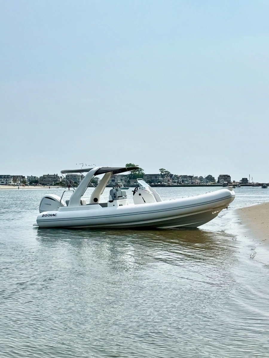2026 Zodiac 