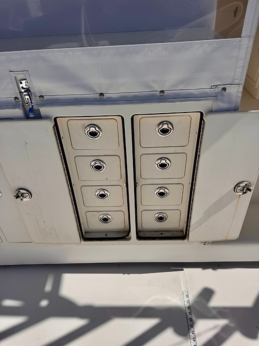 0005713832