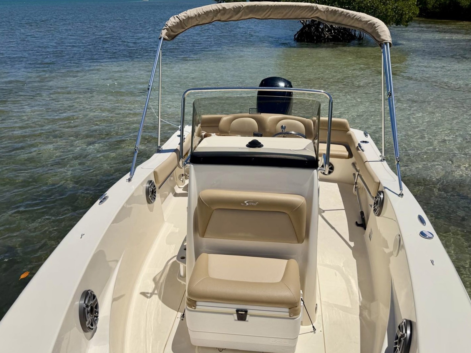 2019 Scout 195 Sportfish